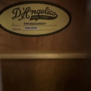 D'Angelico 12-string Grand Auditorium Aged Mahogany - Image 5