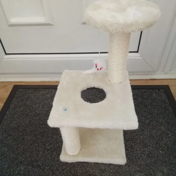 Kitten scratching post