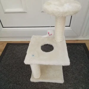 Kitten scratching post