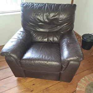 Electric Reclining Leather Chair