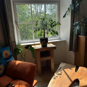 Solid mango wood table - Image 5