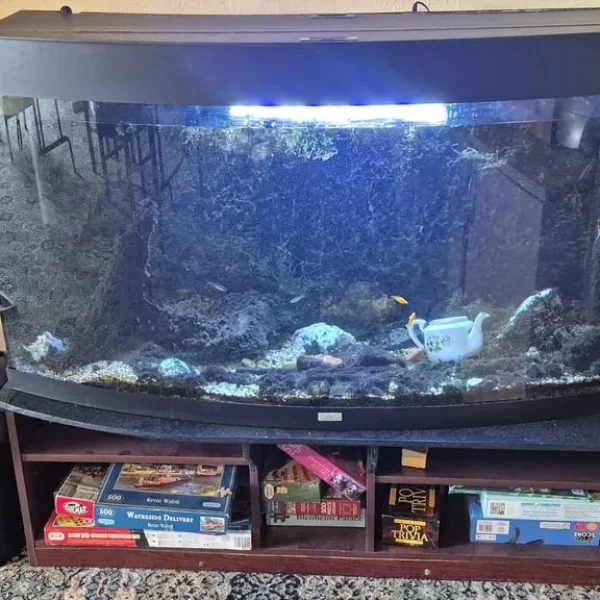 Tropical Fish Tank Set Up
