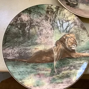 Royal Doulton Africa Series Large Dinner Plates - Image 3