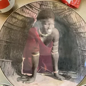 Royal Doulton Africa Series Large Dinner Plates - Image 5