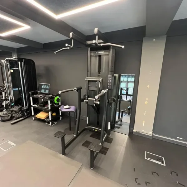 Precor dip and chin assist machine