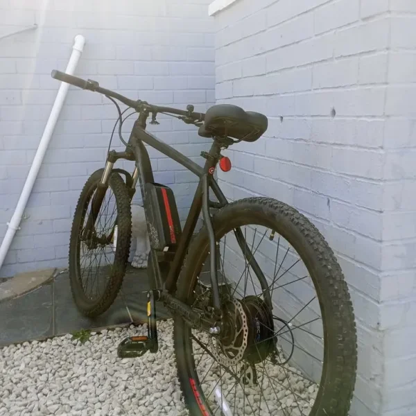 Carrera electric bike