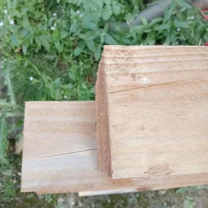 2400mm x 100mm wood posts