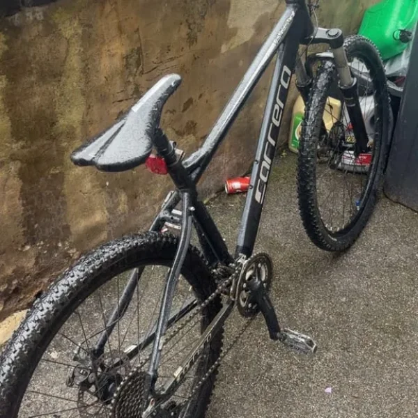 Carrera Vengeance 595