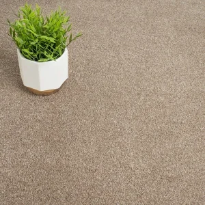 Beige/Natural Twist Carpet Roll