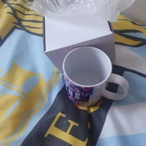 England European Champions mug - Image 6