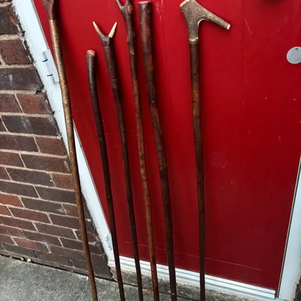 Wooden walking sticks