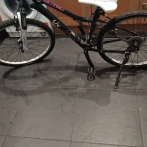 Girl's/Ladies bike