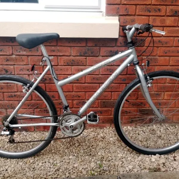 Raleigh Ladies Bike 19-inch Frame