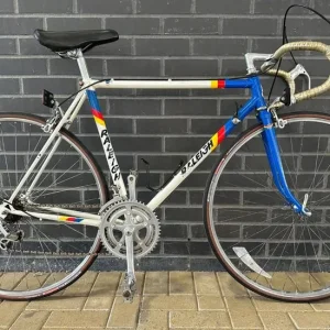 Raleigh Panasonic Road Bike 54cm Original Spec