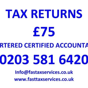Tax Returns and Company Accounts
