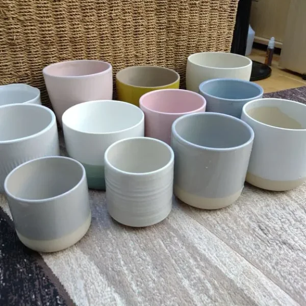 Plant Pots (12 in total)