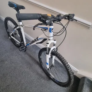 Giant Mountain Bike