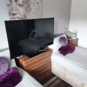 50 Inch Bush TV