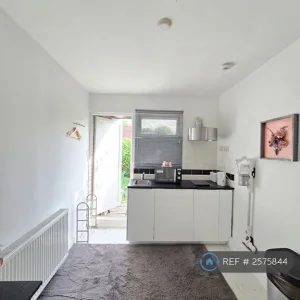 Studio flat in Birch Grove - Image 4