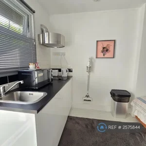 Studio flat in Birch Grove - Image 5