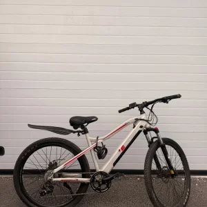 Lectro EM600 E-Bike - Image 2
