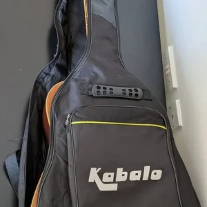 Tanglewood acoustic guitar + case - Image 5