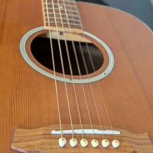 Tanglewood acoustic guitar + case - Image 7