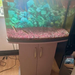 70l tank with stand