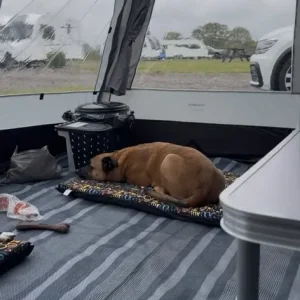 KAMPA 390 RALLY CARAVAN AWNING - Image 6