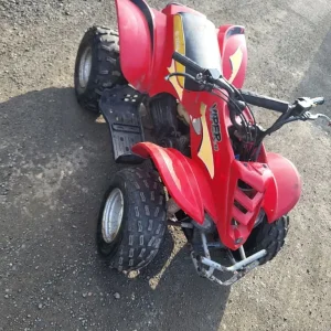 Viper Eton 90cc quad bike
