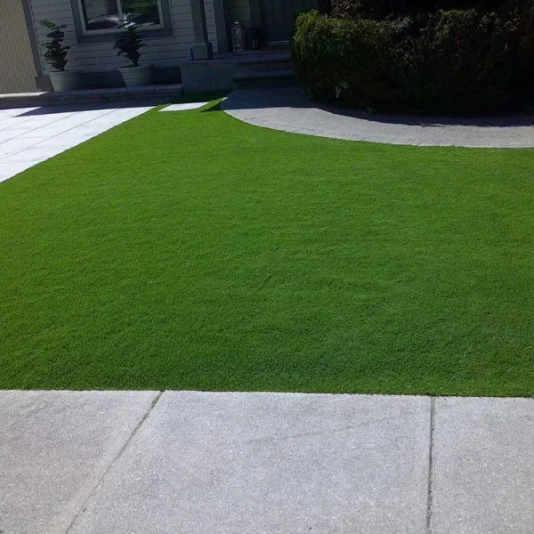 Artificial Grass