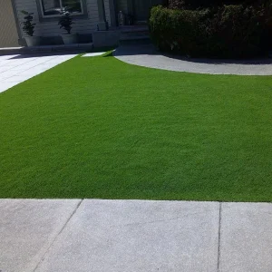Artificial Grass