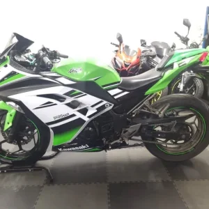 Kawasaki Ninja 300 2018 Anniversary Edition - Image 2
