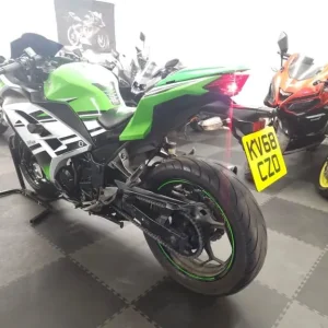 Kawasaki Ninja 300 2018 Anniversary Edition - Image 3