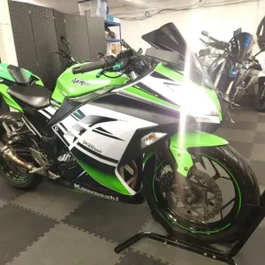 Kawasaki Ninja 300 2018 Anniversary Edition - Image 5