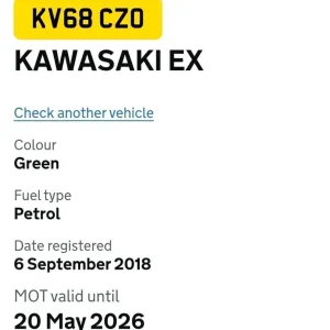 Kawasaki Ninja 300 2018 Anniversary Edition - Image 7