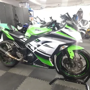 Kawasaki Ninja 300 2018 Anniversary Edition - Image 8