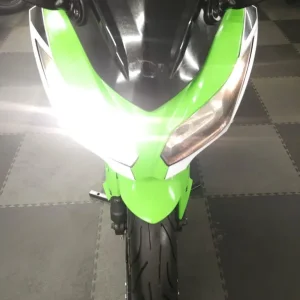 Kawasaki Ninja 300 2018 Anniversary Edition