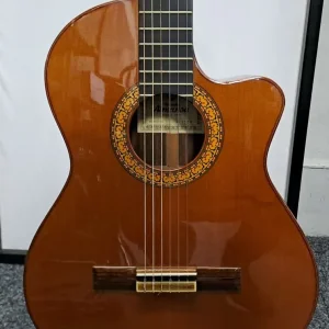 Almansa 3149 Semi-Acoustic Guitar - Image 6