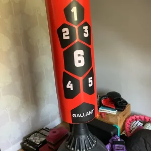 Punch bag and gloves