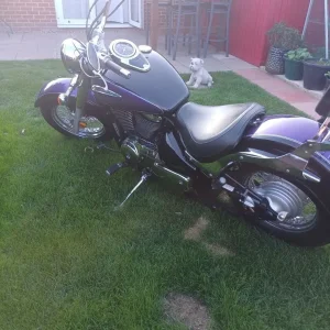 Suzuki VL800 Volusia 2001 80 800cc - Image 2