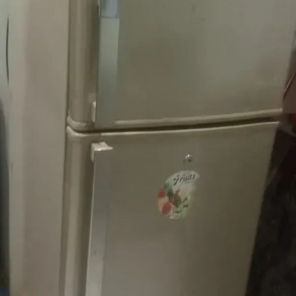 Standard fridge good condition