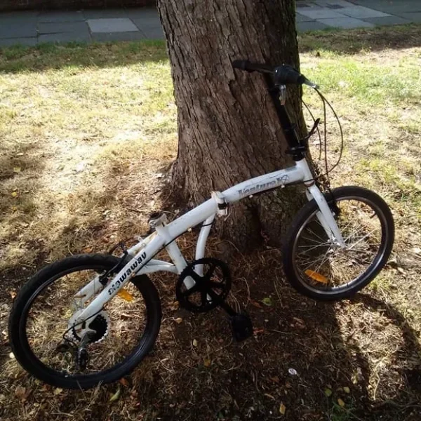 Folding bike