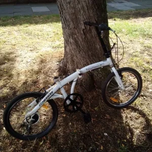 Folding bike