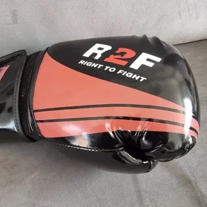 Elite Boxing Gloves and Focus Mitts - Image 2