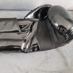Elite Boxing Gloves and Focus Mitts - Image 3