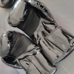 Elite Boxing Gloves and Focus Mitts - Image 4