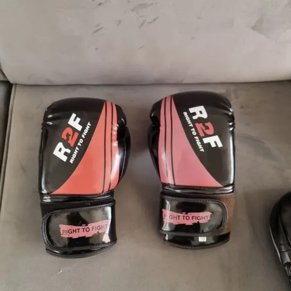 Elite Boxing Gloves and Focus Mitts