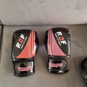 Elite Boxing Gloves and Focus Mitts