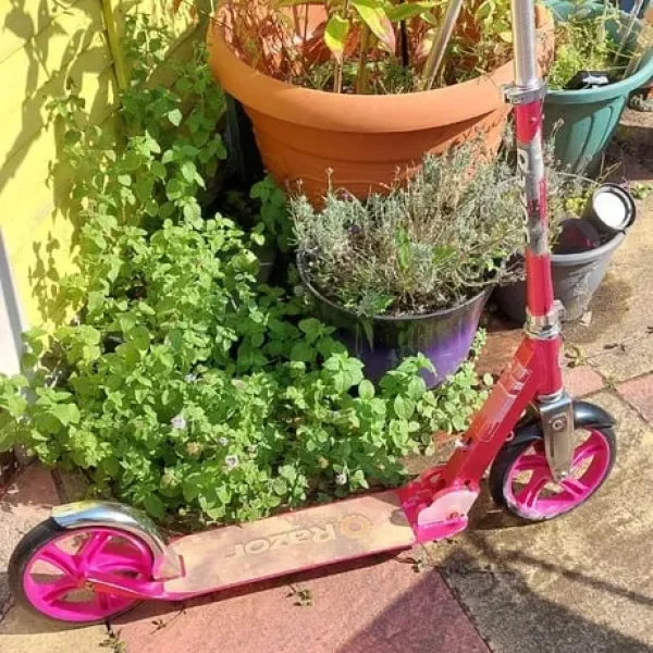 Older Girls Razor Scooter